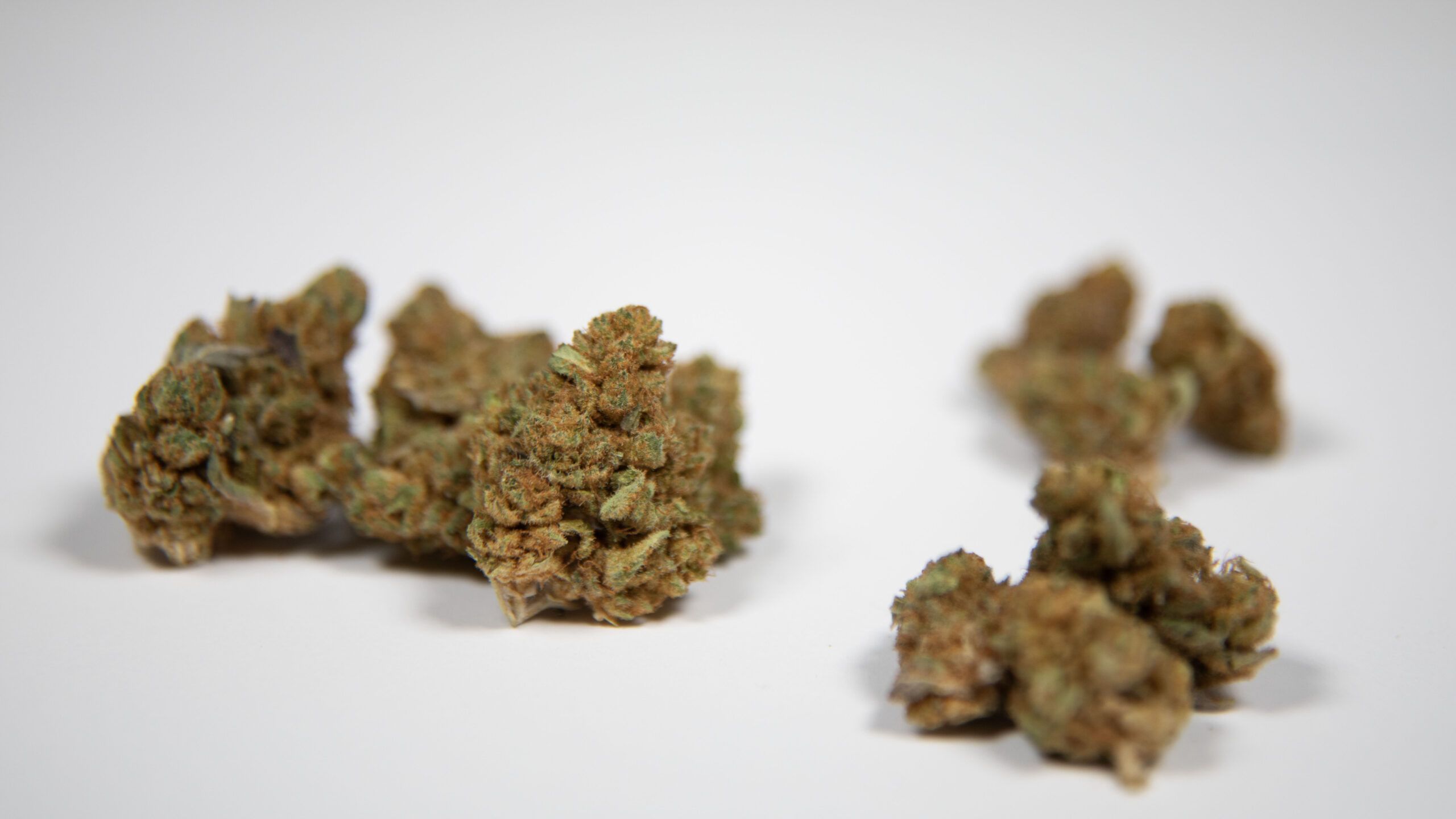 Can You Overdose on Cannabis?